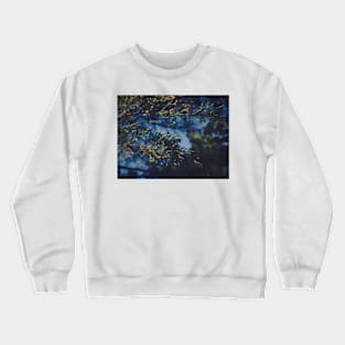 Dream Crewneck Sweatshirt